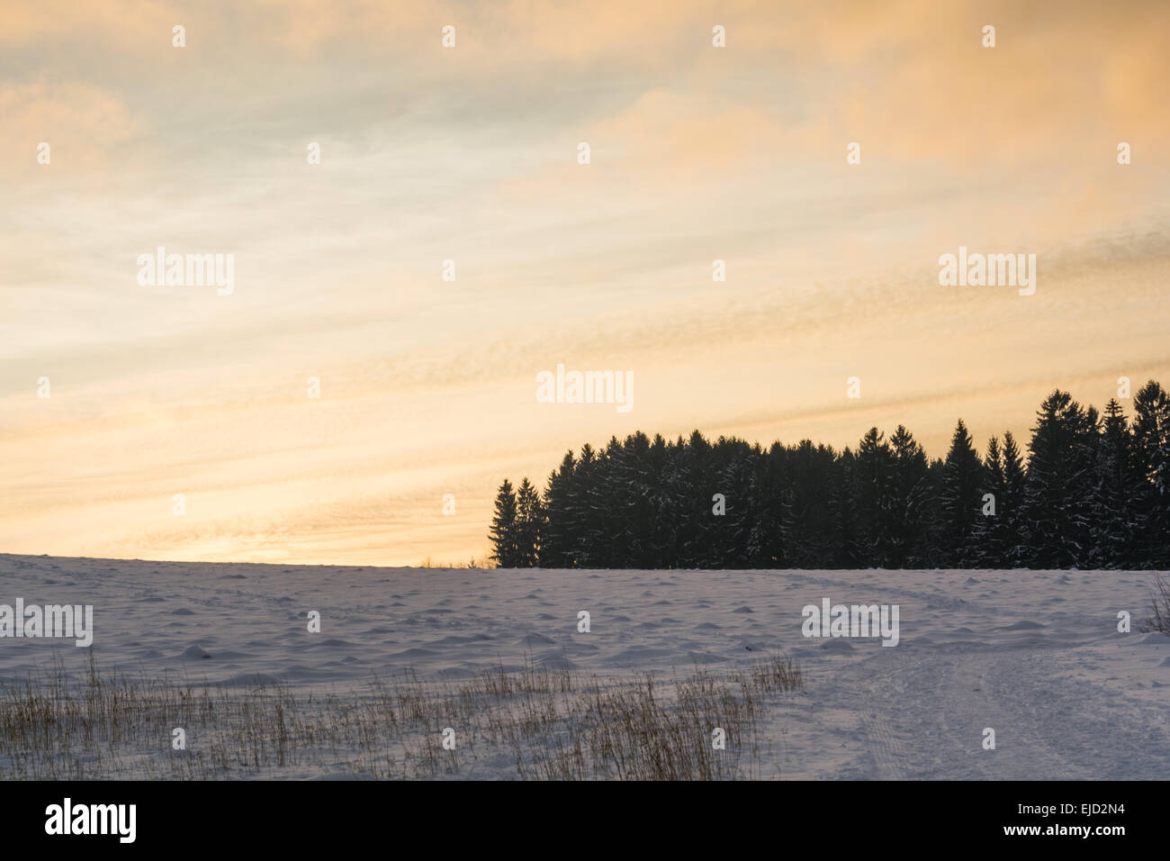 Por la noche en la atmósfera del paisaje invernal imagen Foto de stock
