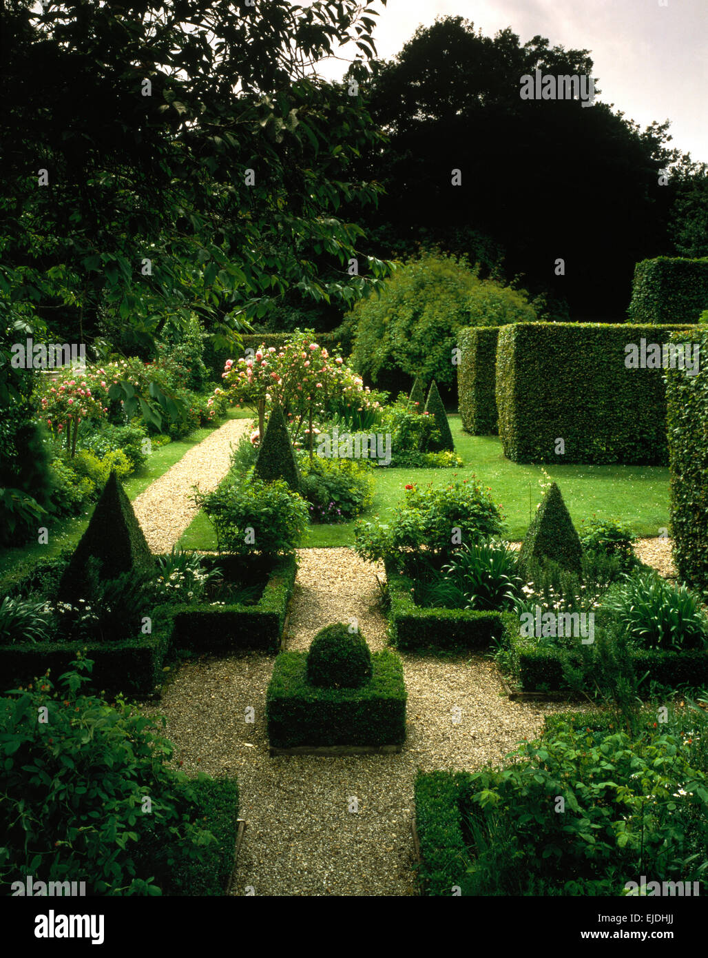 Cuadro de topiary área de grava en el país grande jardín en verano con altos setos recortados Foto de stock