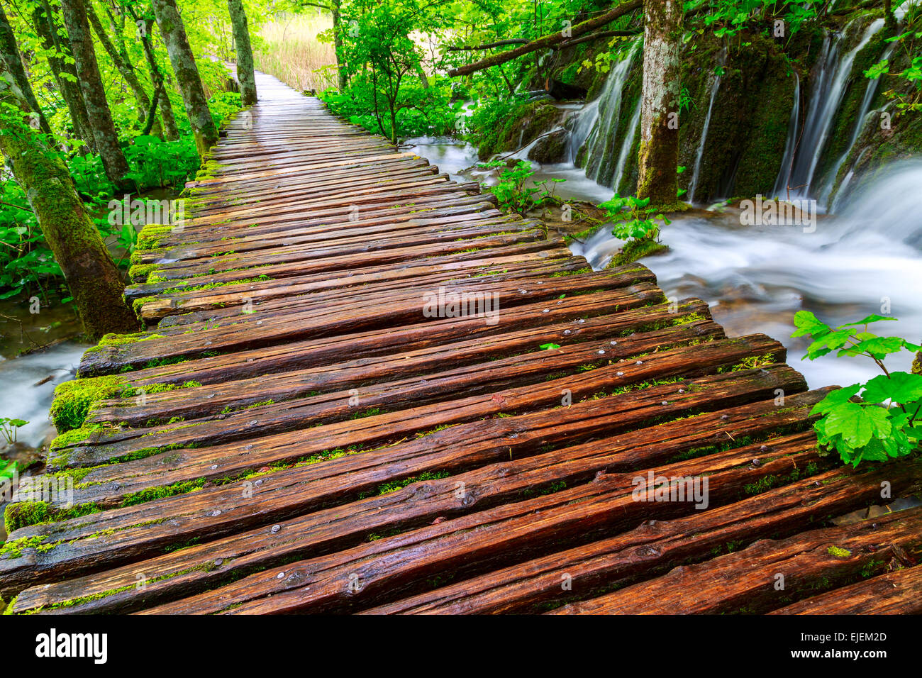 Paseo en el parque de los lagos de Plitvice, Croacia Foto de stock