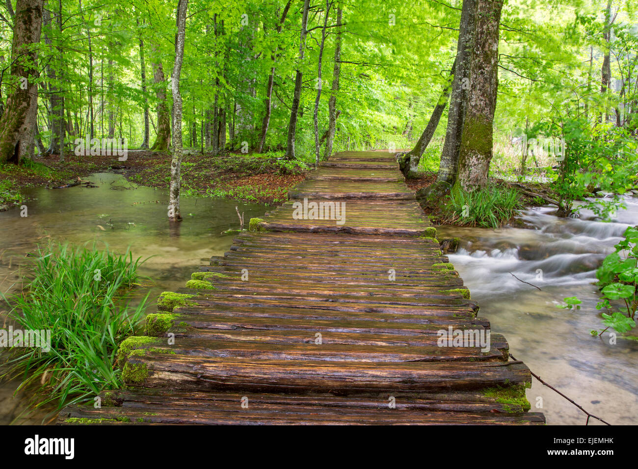 Paseo en el parque de los lagos de Plitvice, Croacia Foto de stock