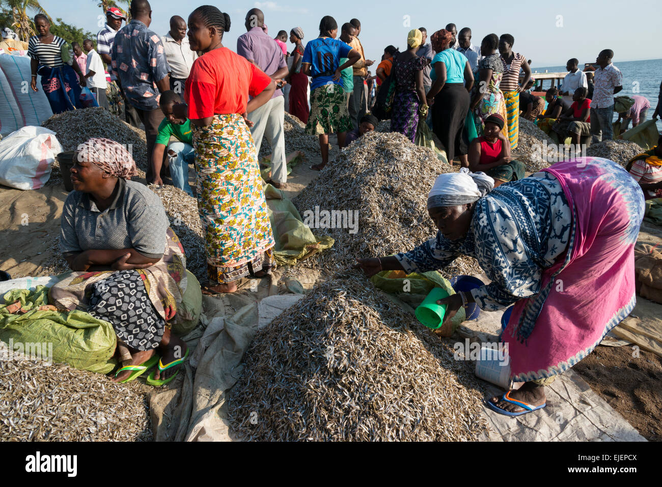 Mercado de Pescado. Musoma. El lago Victoria. La República Unida de Tanzanía. Foto de stock