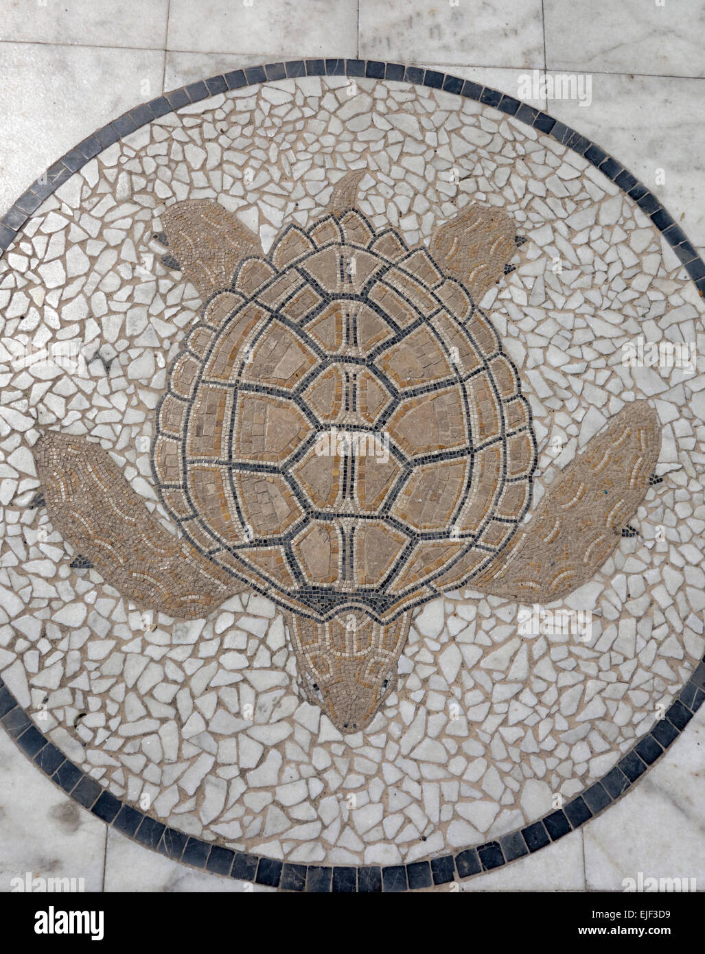 Imagen mosaico de una tortuga boba junto al muelle de Köyceğiz, Turquía Foto de stock