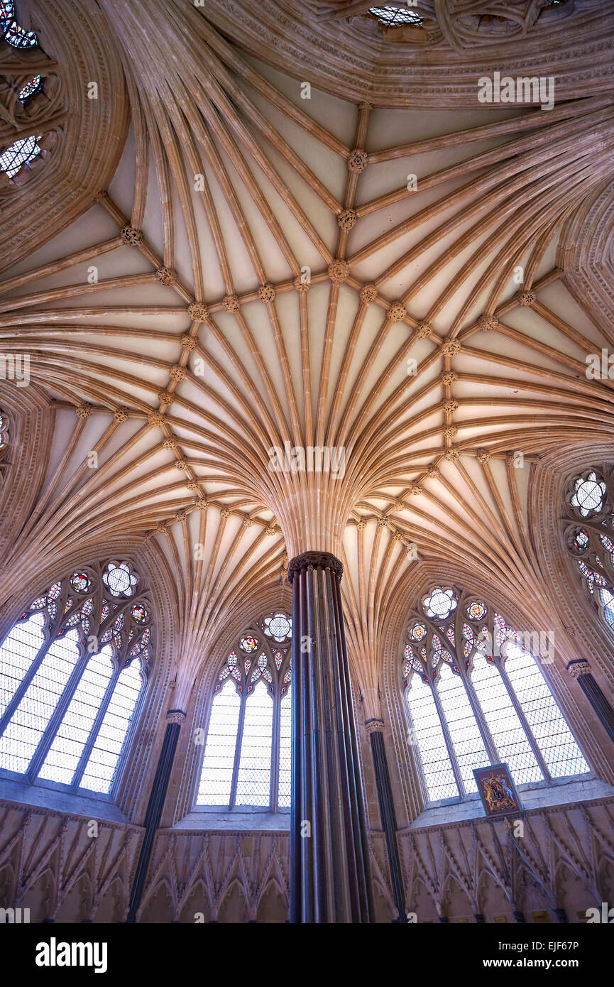 Las bóvedas de la Sala Capitular de la Catedral de Wells medieval construido en el estilo gótico inglés temprano en 1175, Wells Foto de stock