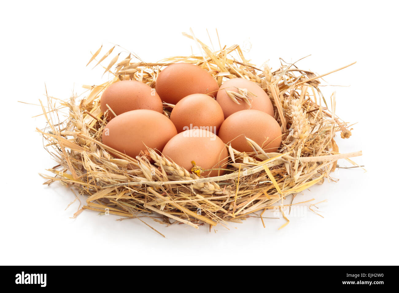 Los huevos de pollo en el nido de paja. Foto de stock