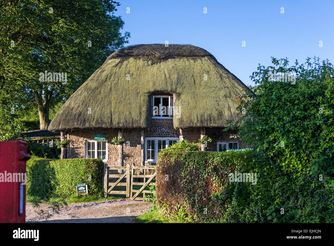 Casita con techo de paja en Sussex, Inglaterra Foto de stock