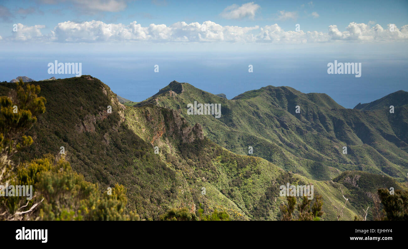 Las Montañas de Anaga, Tenerife, Islas Canarias, España Foto de stock