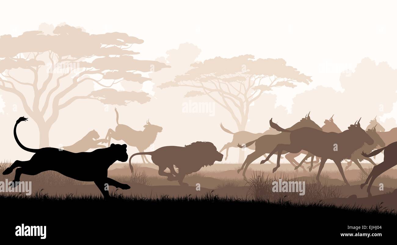EPS8 ilustración recorte vectorial editable de leones persiguiendo una manada de ñus con todas las cifras como objetos separados Ilustración del Vector