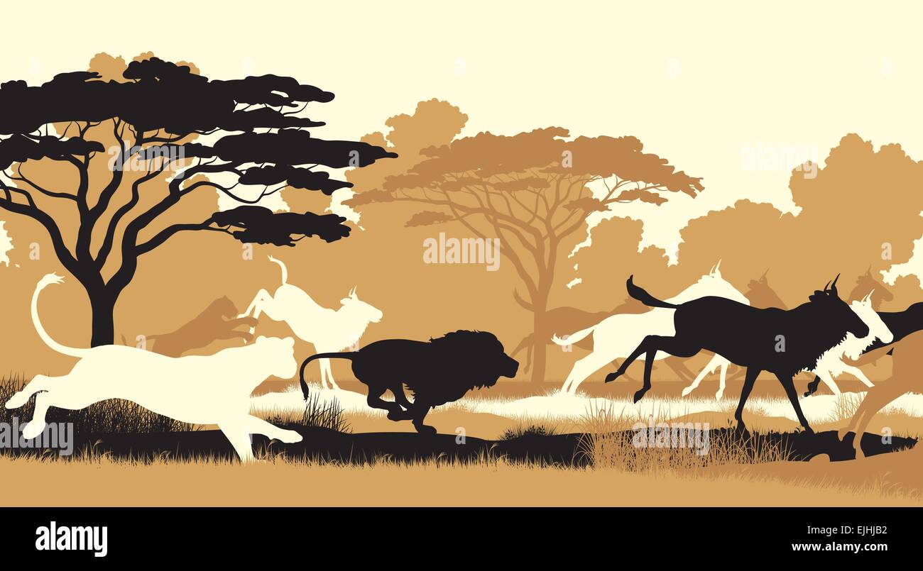 EPS8 ilustración recorte vectorial editable de leones persiguiendo una manada de ñus. Ilustración del Vector