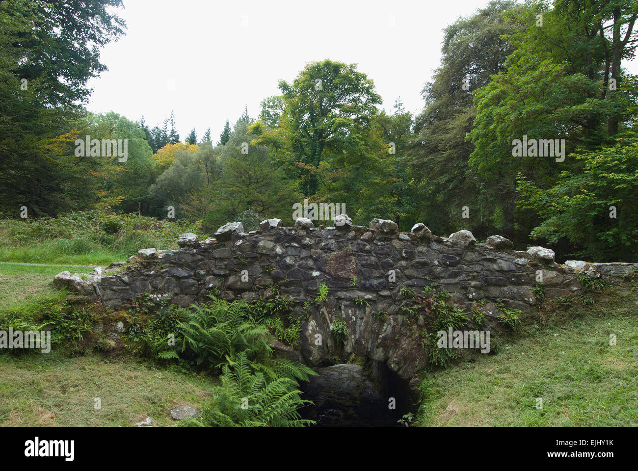 Uno de los 16 puentes que cruzan el río Shimna en Tollymore Park, Irlanda del Norte Foto de stock