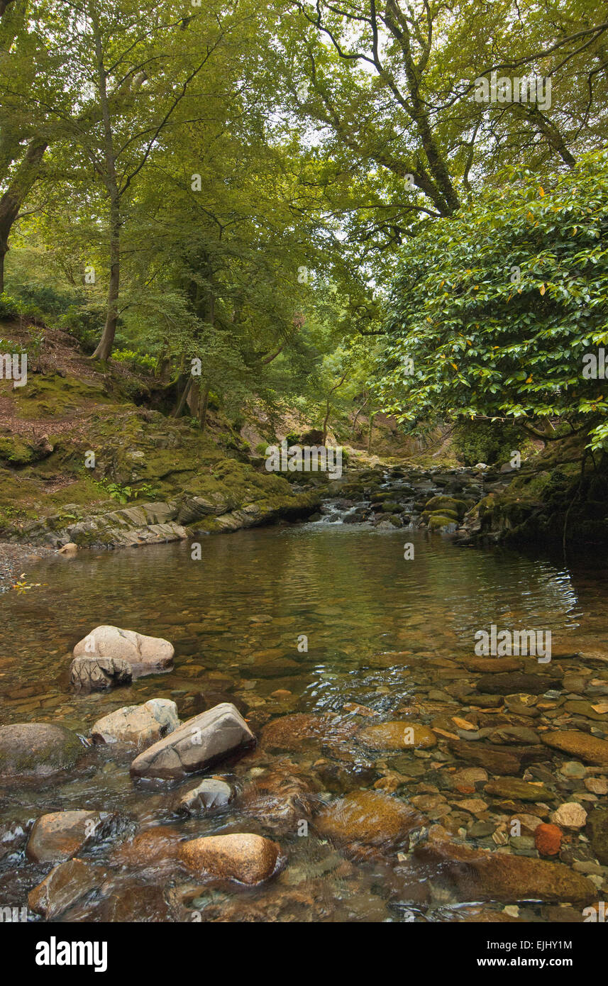 Una vista escénica en Tollymore Park, Irlanda del Norte Foto de stock