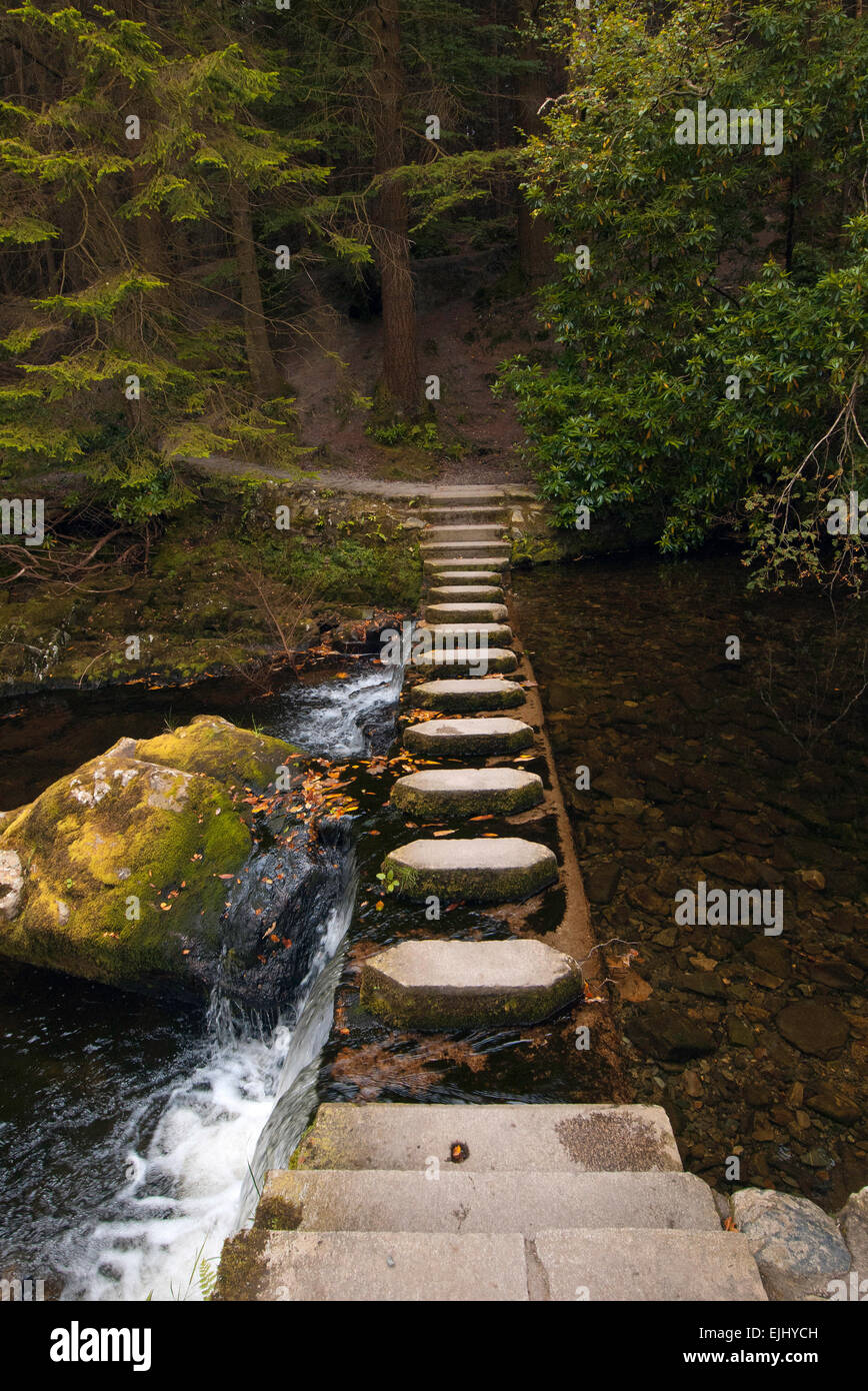 Uno de los 16 puentes que cruzan el río Shimna en Tollymore Park, Irlanda del Norte Foto de stock