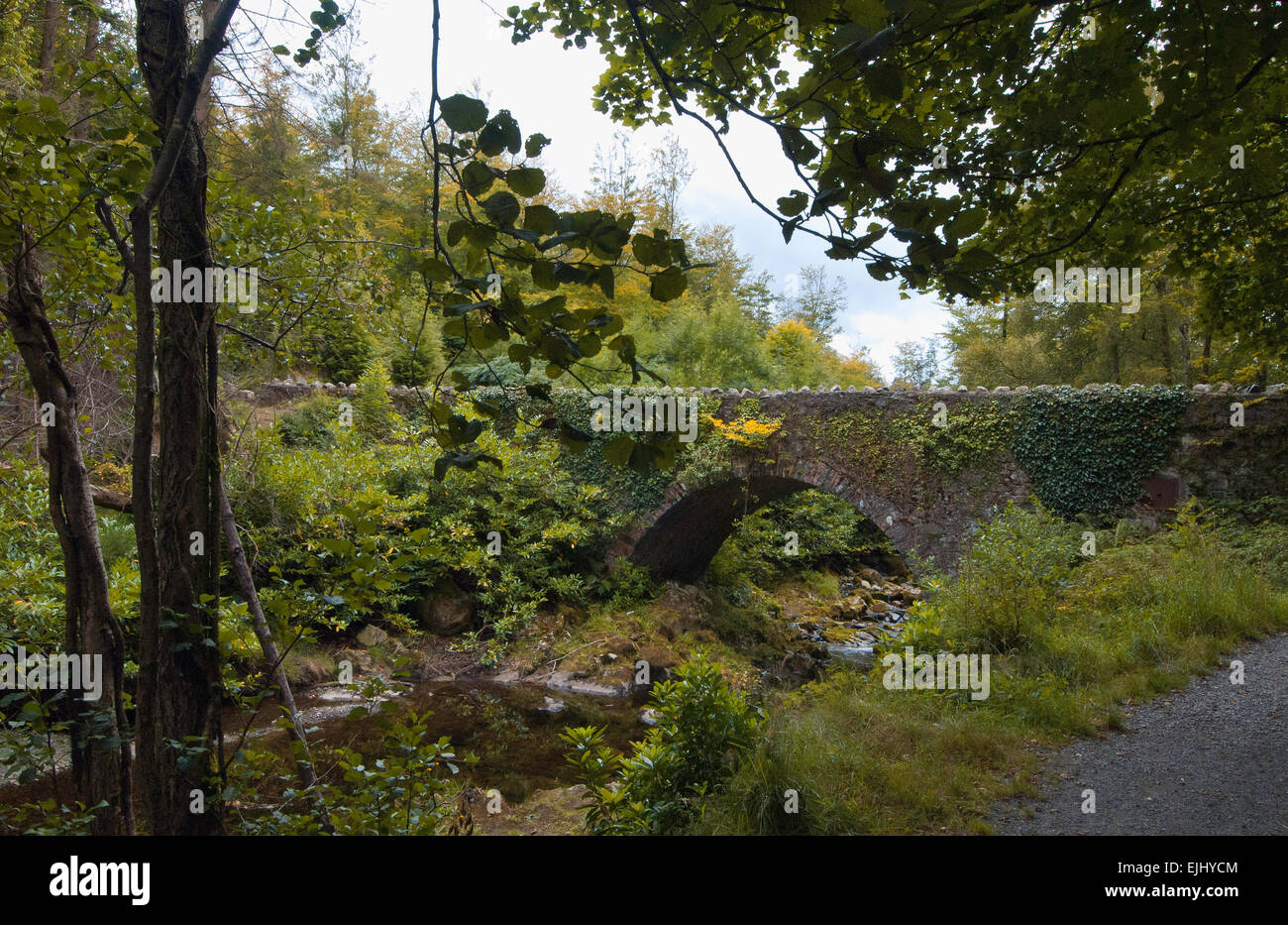 Uno de los 16 puentes que cruzan el río Shimna en Tollymore Park, Irlanda del Norte Foto de stock