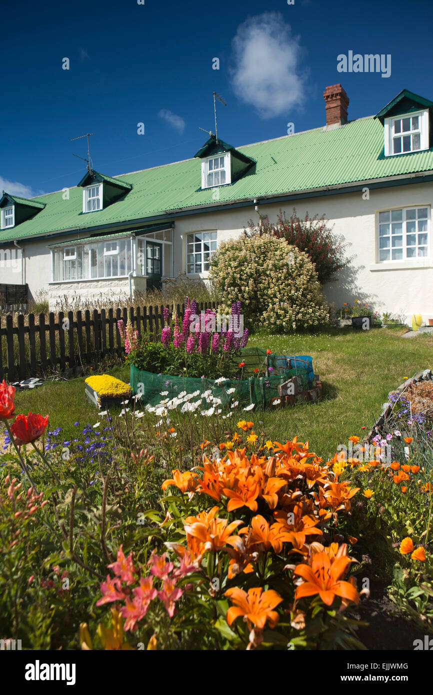 Malvinas, Puerto Stanley, Islas Malvinas florales Jardín delantero fuera de casa de techo verde Foto de stock