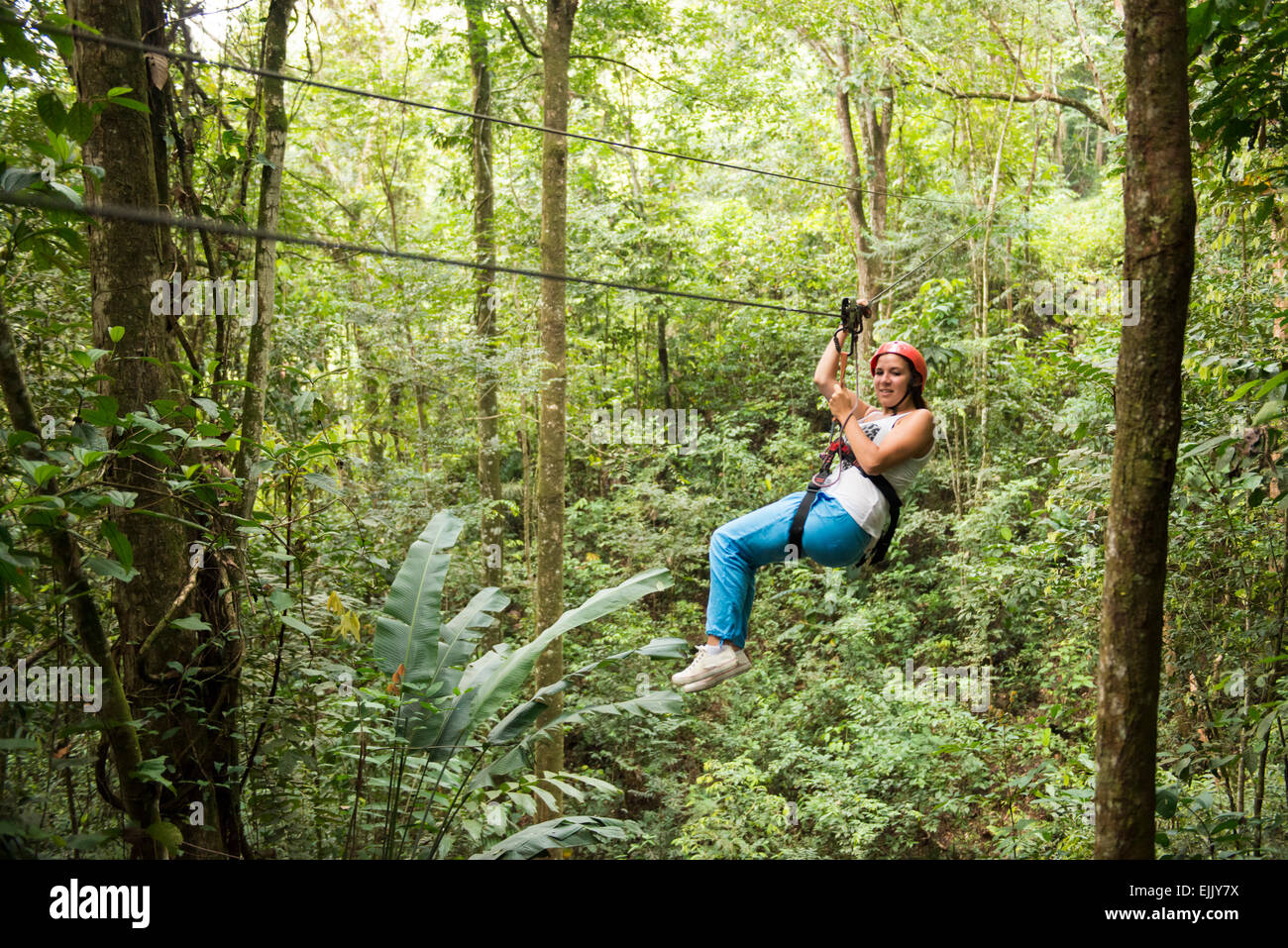 Deslizarse por el Canopy Zip Line en Bergendal Adventure Centre, Suriname Foto de stock