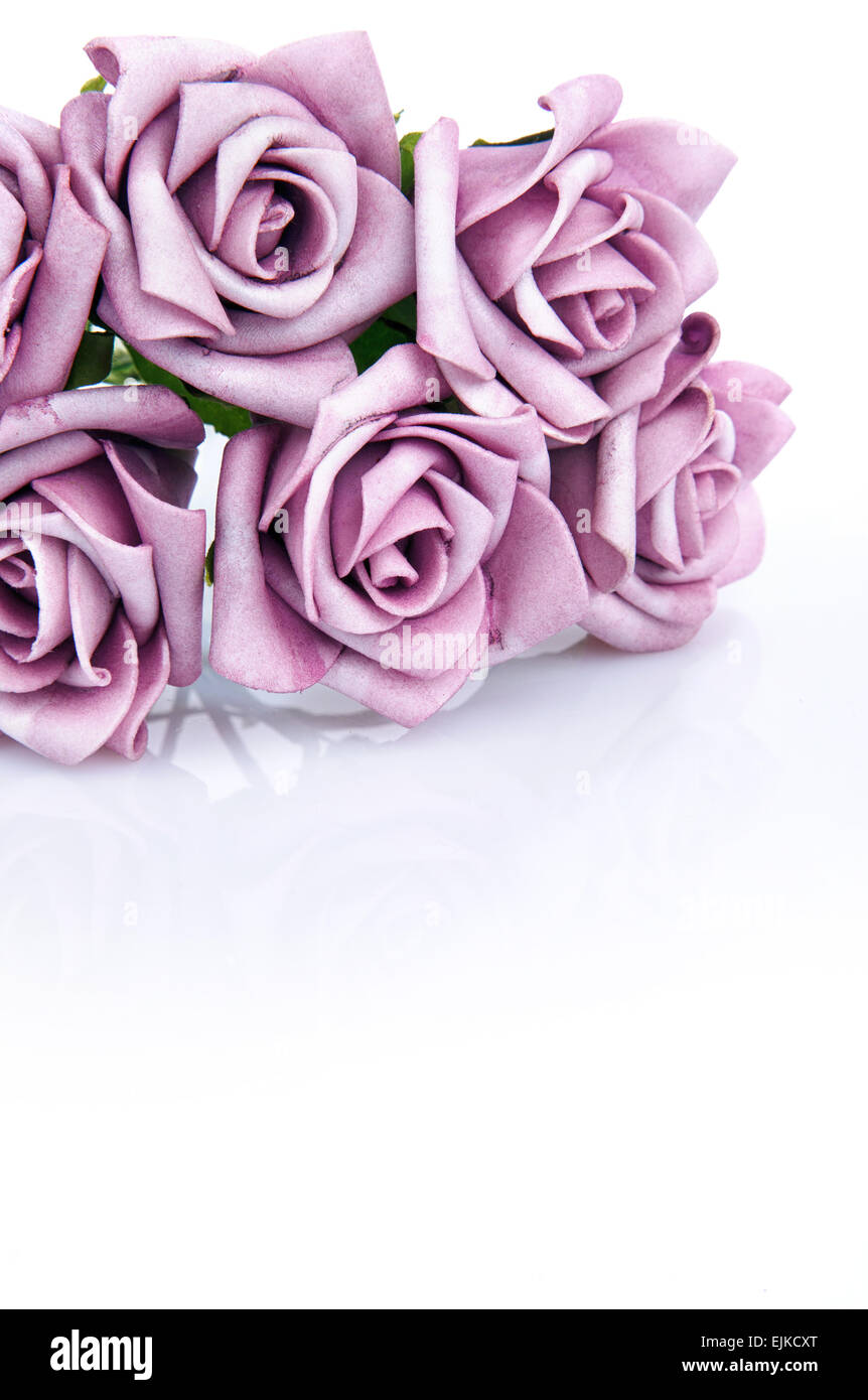 Bouquet de rosas de color púrpura sobre un fondo blanco. Foto de stock