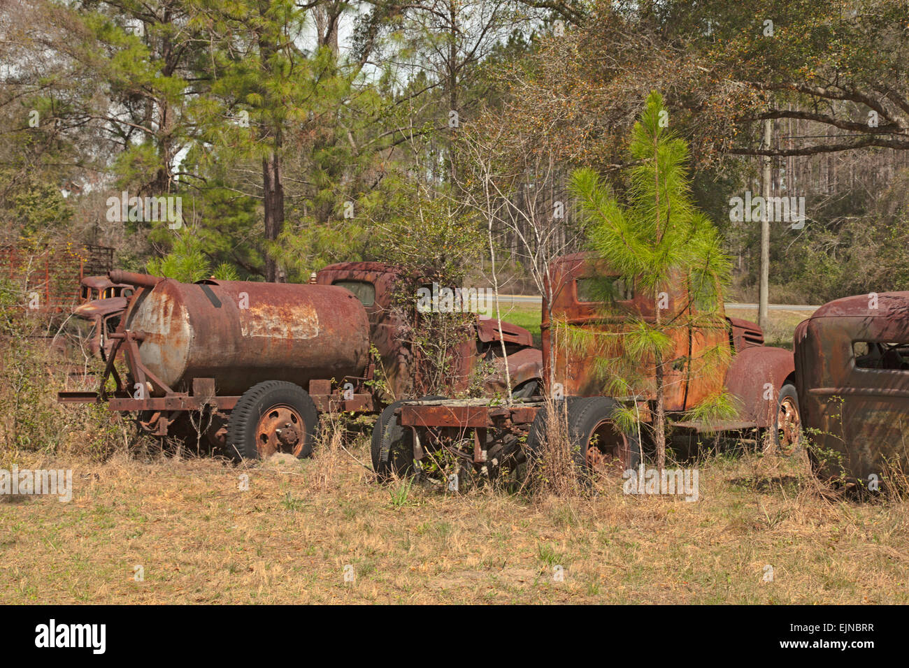 Cementerio de coches en Florida. Varias viejas, caducas y rusty automóviles han sido cuidadosamente reservada a las caries con honor. Foto de stock