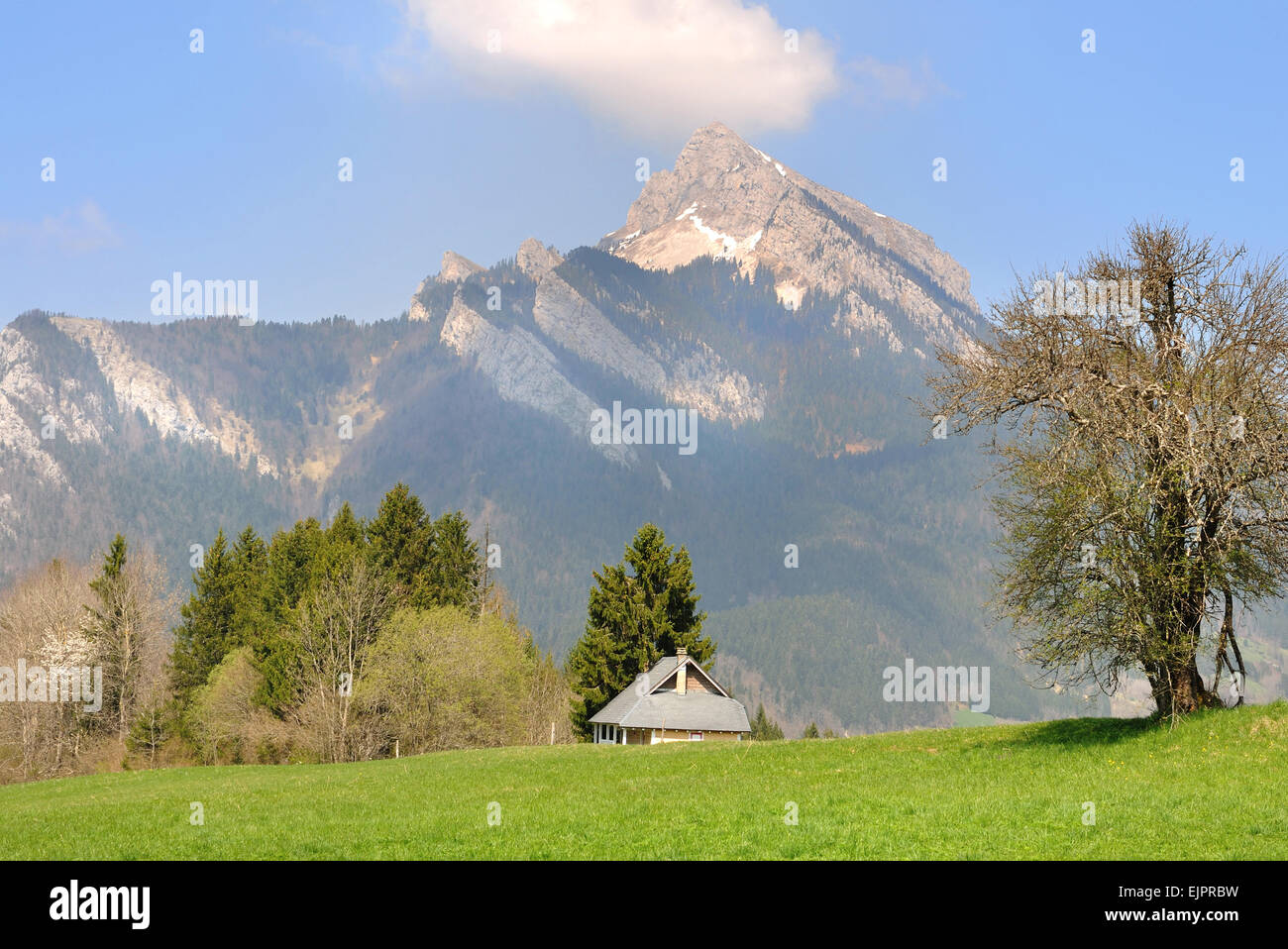 Casa situada en un paisaje de verdor en frente de la montaña Foto de stock
