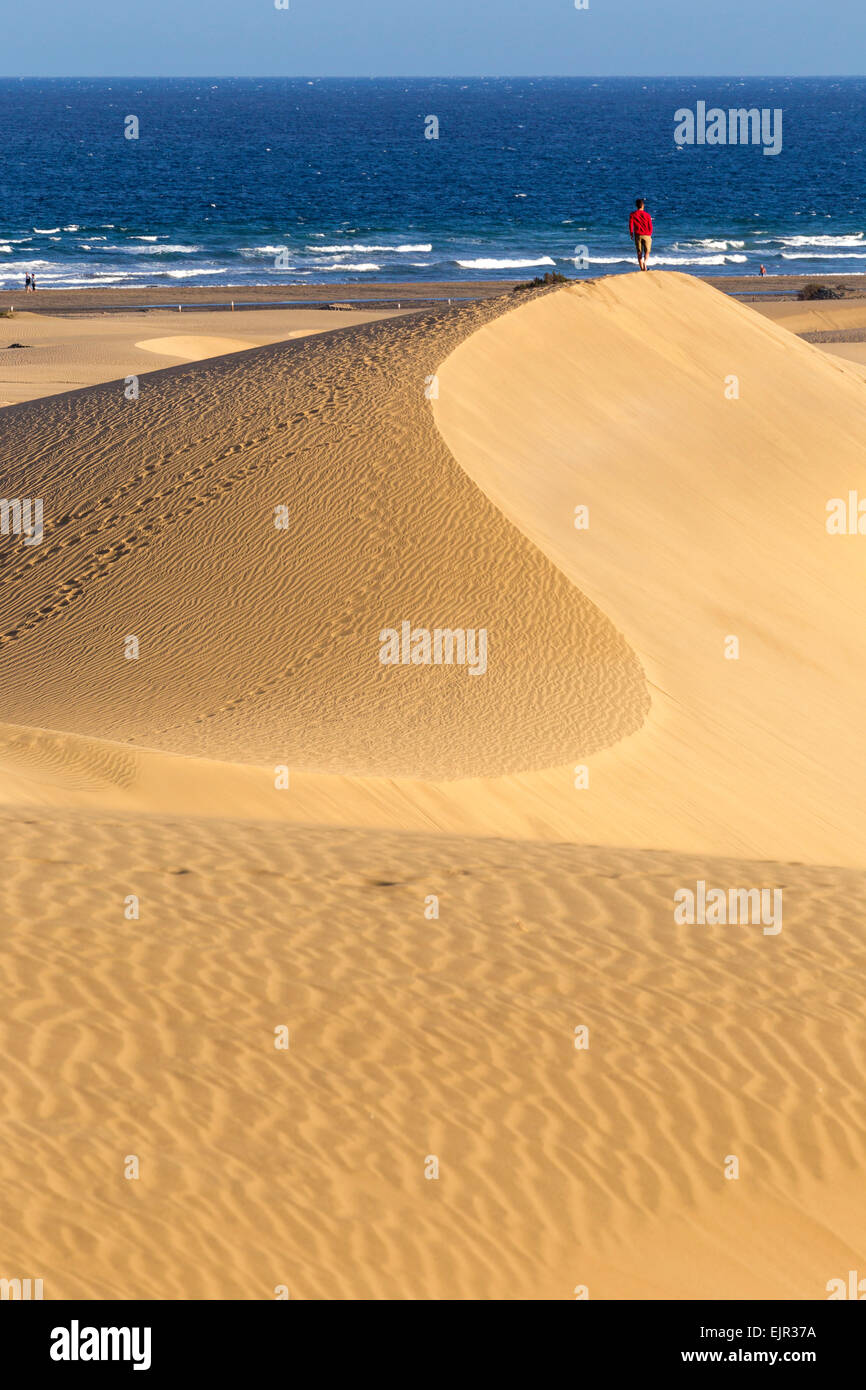 En la playa de dunas de Maspalomas, Gran Canaria, Islas Canarias, España Foto de stock