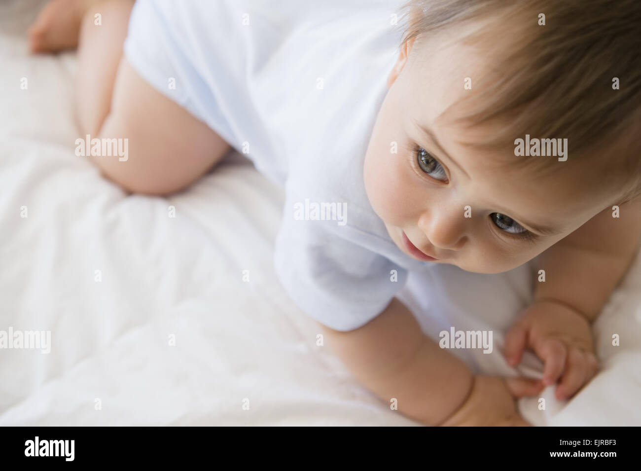 Cerca de raza mixta bebe gateando sobre la cama Foto de stock
