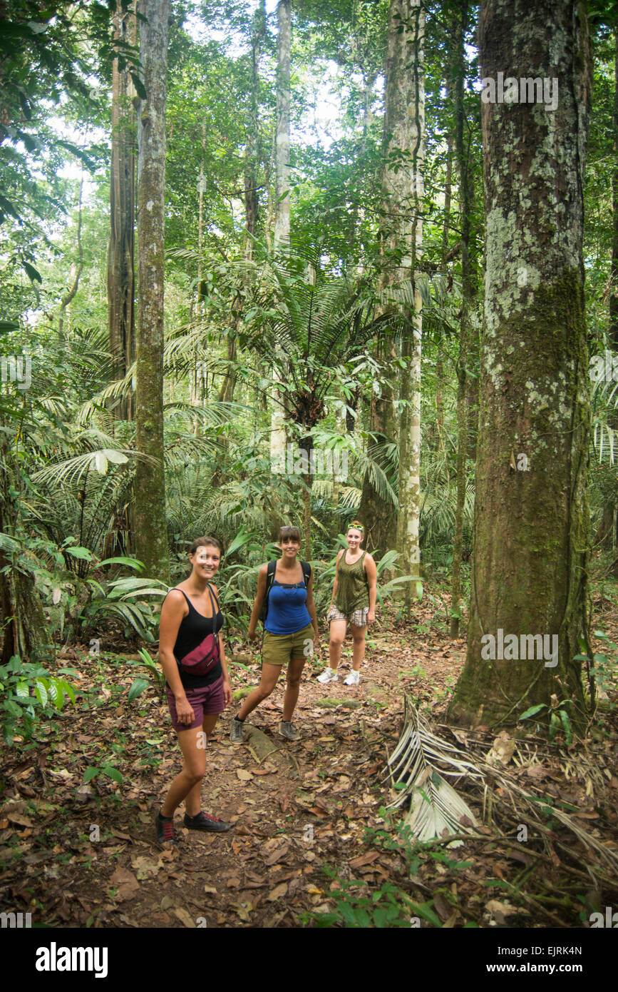 Los turistas en la selva, la Reserva Natural de Surinam Central, Suriname Foto de stock