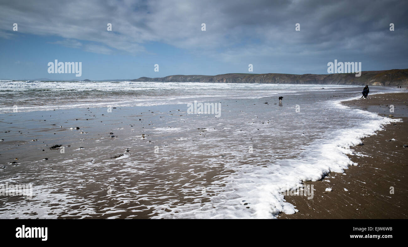 Batida de espuma tras la tormenta de invierno en la playa de Newgale, Pembrokeshire (Gales). Foto de stock