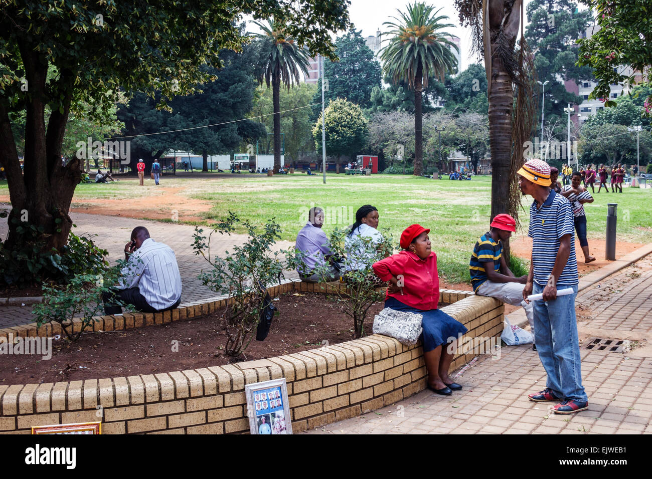Johannesburgo Sudáfrica, Parque Joubert africano, Central de negocios, Distrito, Negros africanos africanos minoría étnica, adultos hombres hombres hombres, mujer Foto de stock