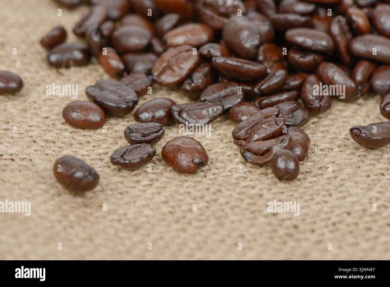 Primer plano de café tostado en grano en un saco de tela Foto de stock