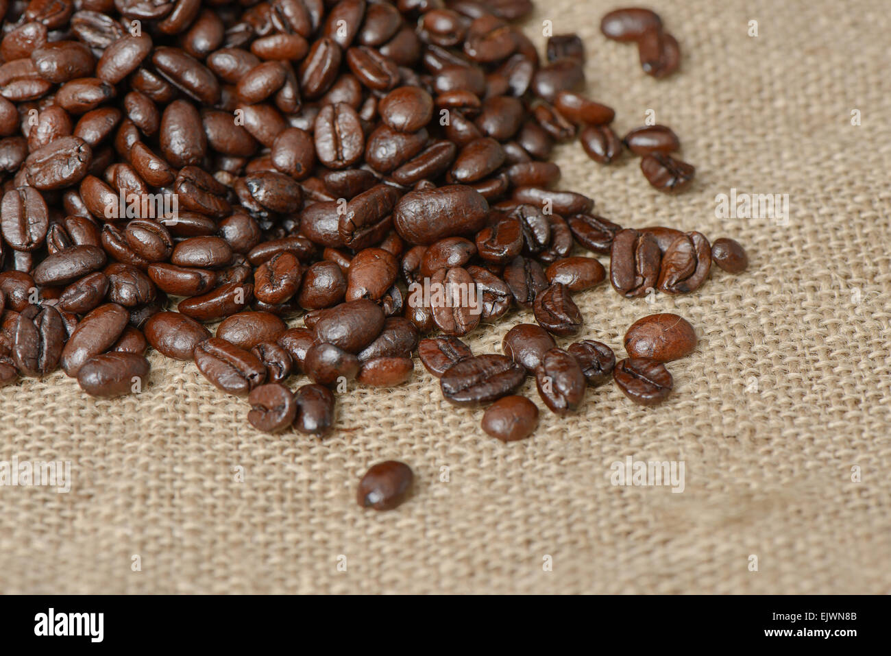 Primer plano de café tostado en grano en un saco de tela Foto de stock