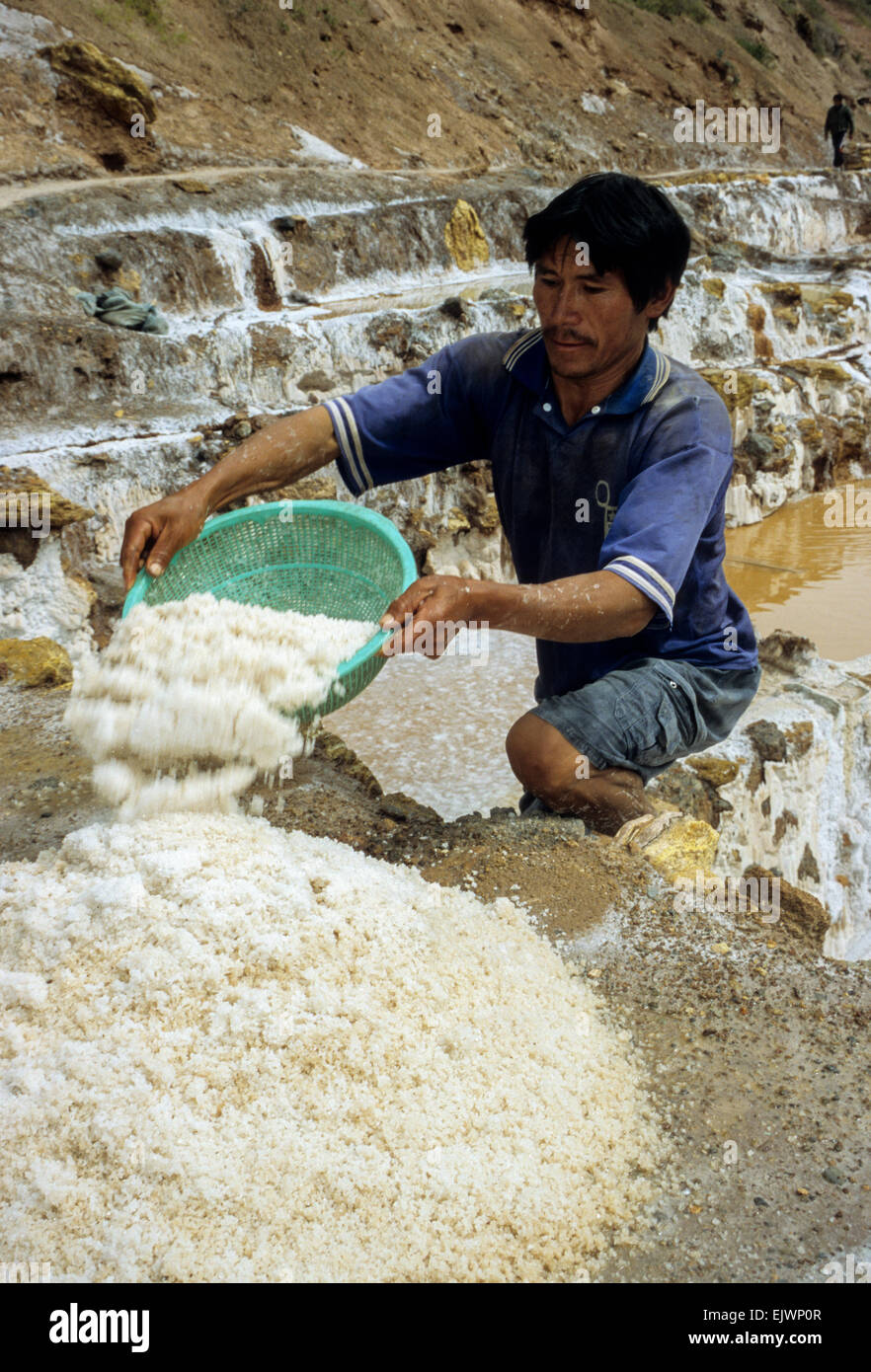 Perú. Las Salinas de Maras, Valle de Urubamba. Hombre recogiendo la sal. Foto de stock
