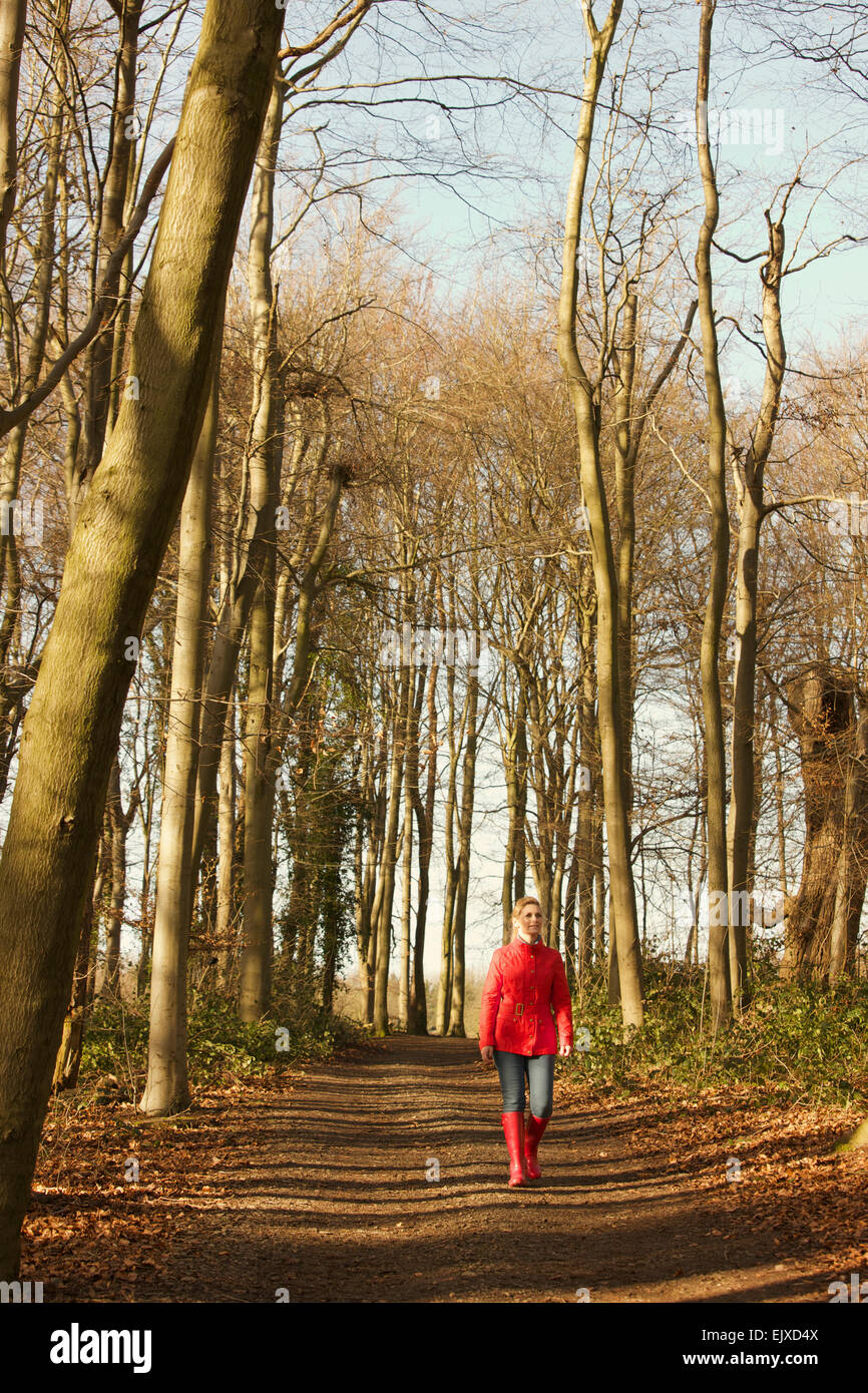 Mujer caminando en la ruta del bosque Foto de stock