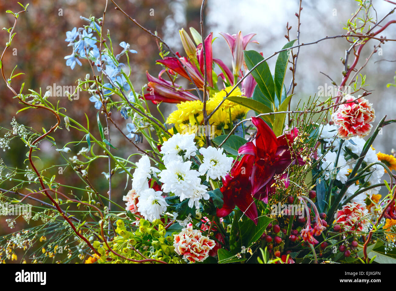 Flores maravillosas fotografías e imágenes de alta resolución - Alamy