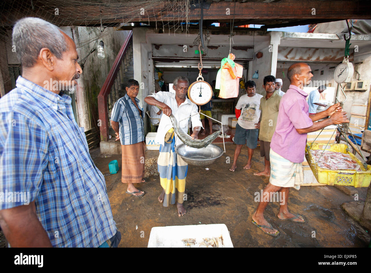 UNAWATUNA mercado de pescado; los pescadores su captura diaria de pesaje Foto de stock