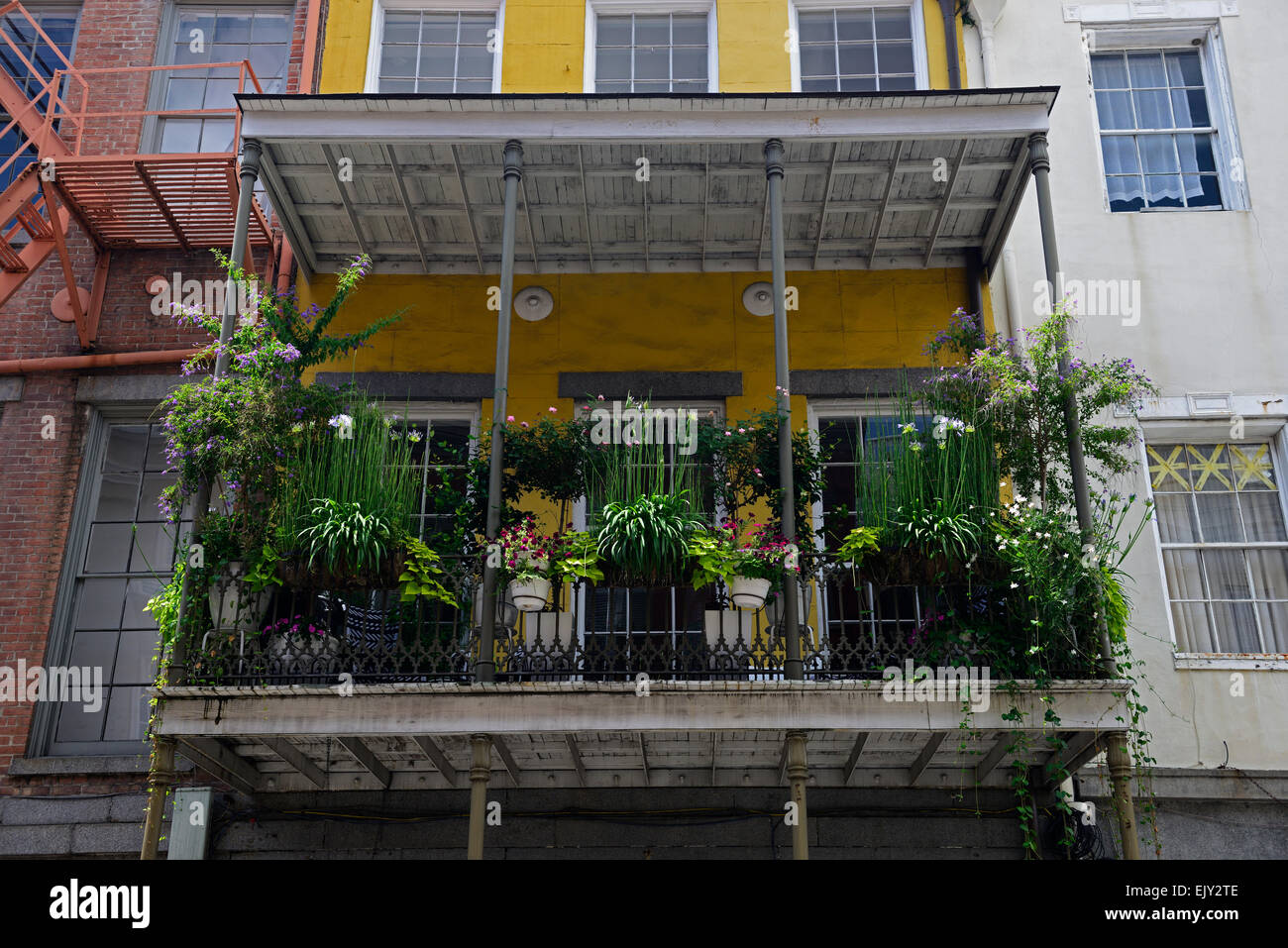Cestas colgantes tropicales sembradoras balcón balcones decorar barrio  francés de Nueva Orleans plantar flores Plantas Florales de RM Fotografía  de stock - Alamy
