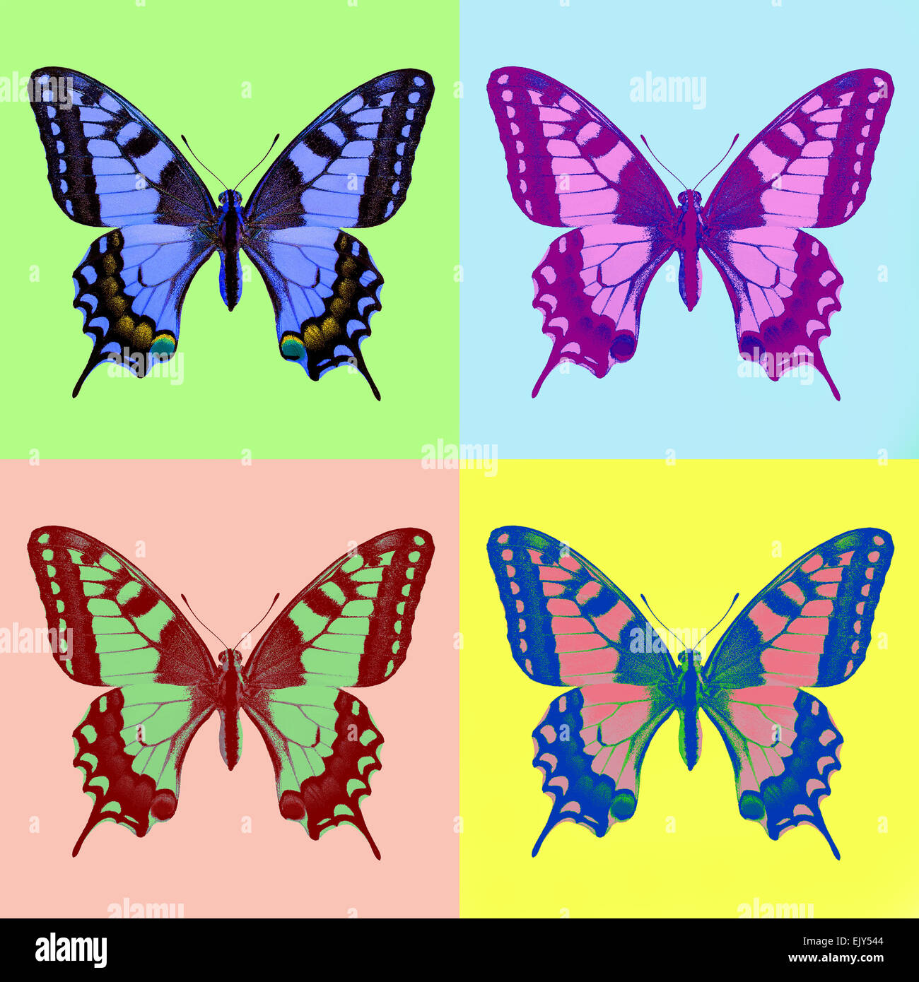 Especie (Papilio machaon) en estilo pop-art Foto de stock