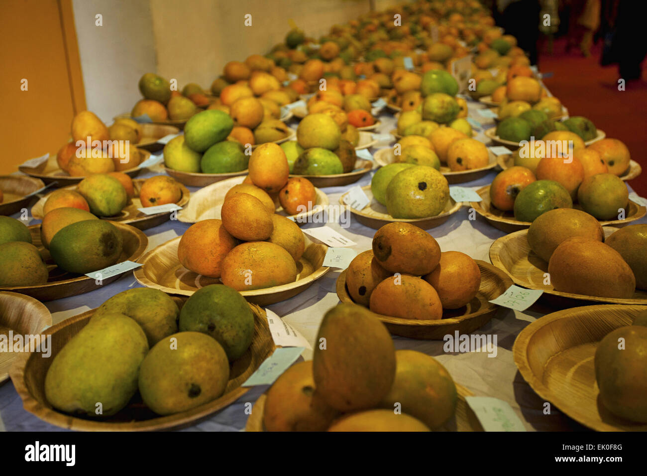 Las variedades locales de mangos en visualización en Mango Festival