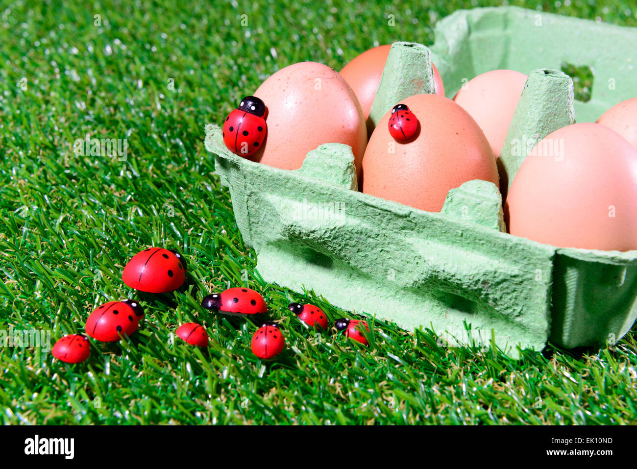 Seis huevos frescos en un cuadro sobre la hierba con mariquita Foto de stock