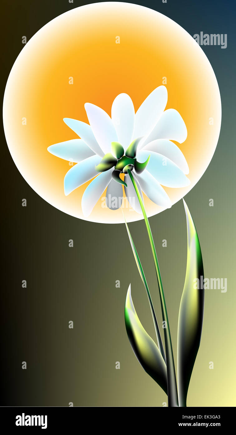 Flor de luna blanca fotografías e imágenes de alta resolución - Alamy