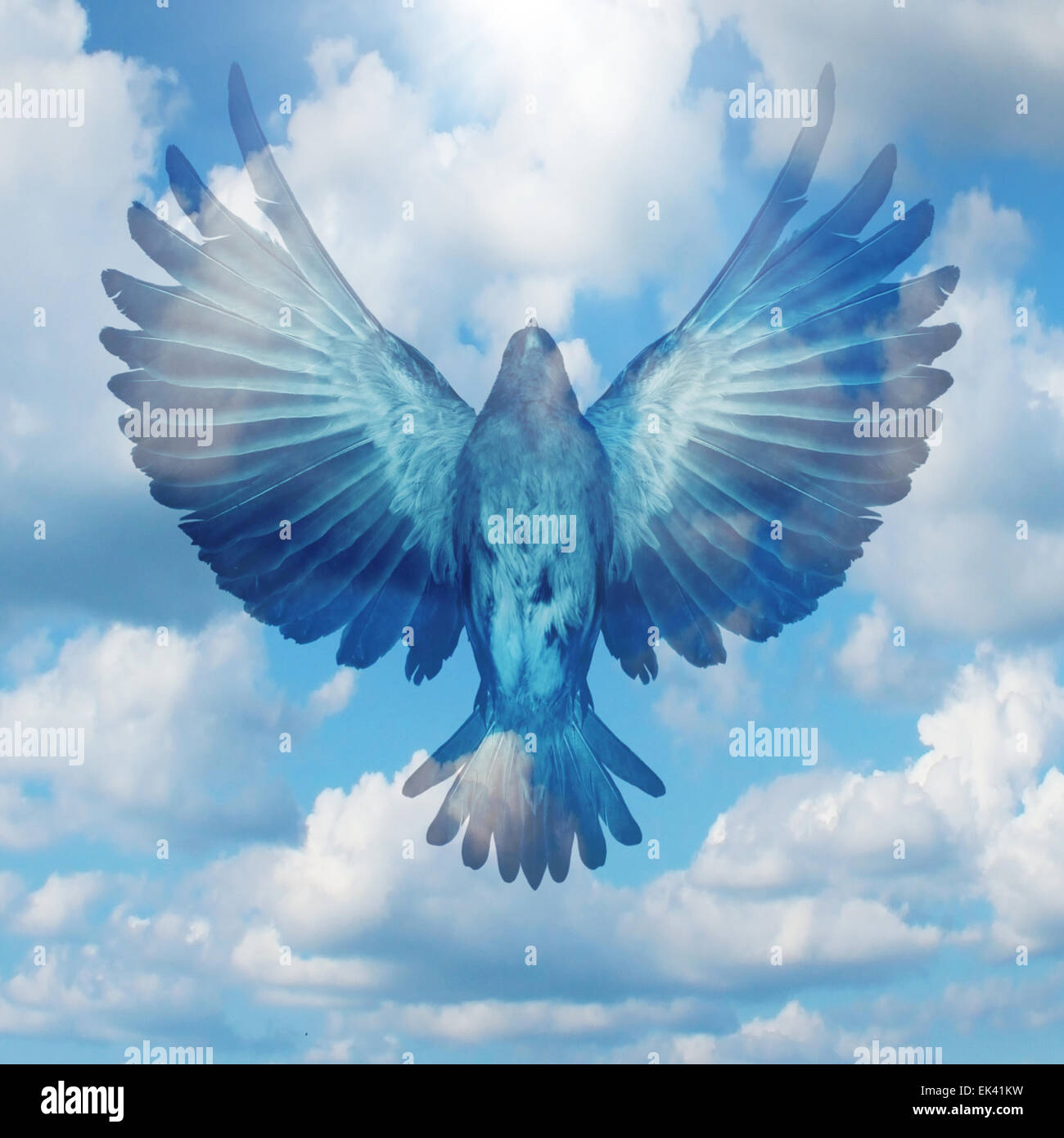 Extiende tus alas éxito concepto como un ave que vuela con plumas extendidas abierto sobre un cielo azul como un logro positivo y opor Foto de stock