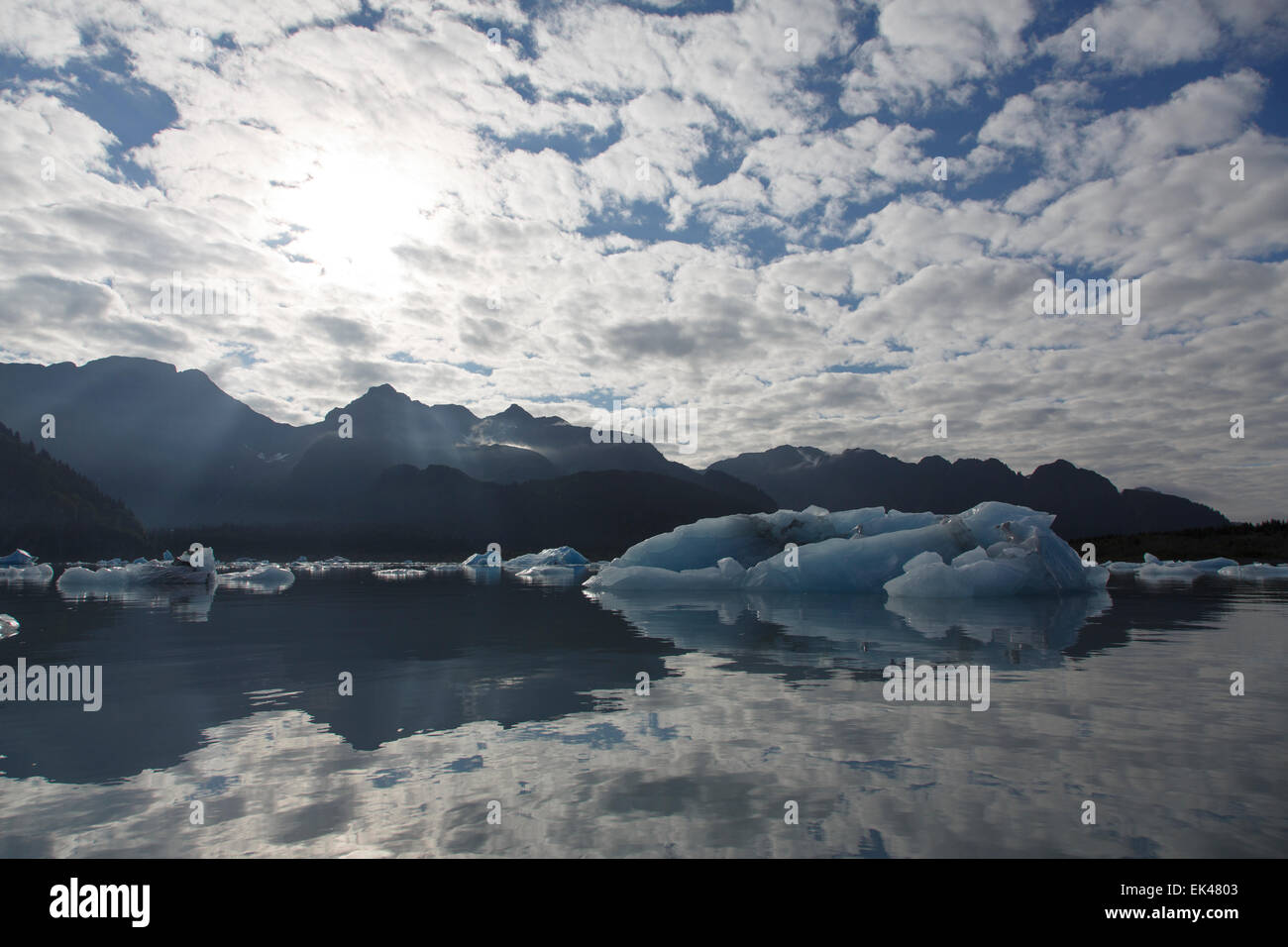 Oso laguna glaciar, fiordos de Kenai National Park, cerca de Seward, Alaska. Foto de stock