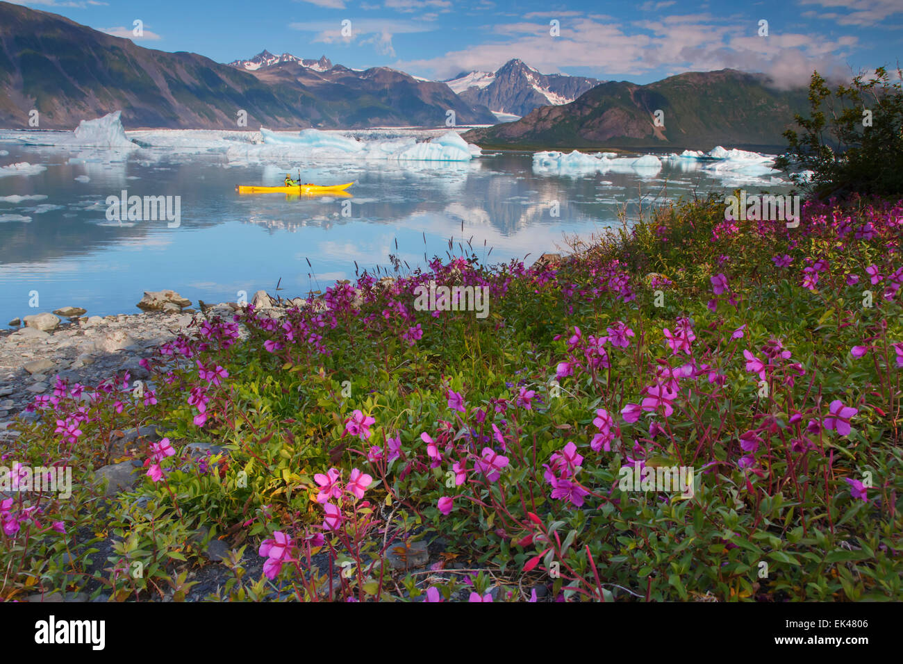 Kayak en la laguna glaciar Bear, fiordos de Kenai National Park, cerca de Seward, Alaska. (Modelo liberado) Foto de stock