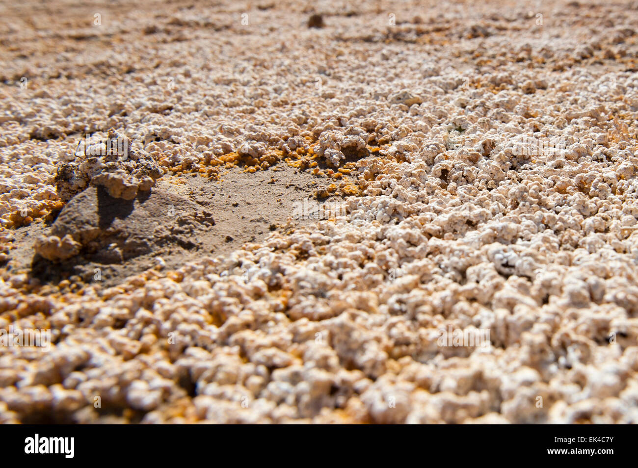 Se ha vuelto más factible para las operaciones mineras para procesar la vieja mina vuelca para el resto de oro que no ha sido extraído de la arena. El proceso de minería subterránea mucha mano de obra y costoso. Estas minas se vuelca atacó lejos con agua y la papilla de barro se canaliza a unos 40km de brakpan en el Rand oriental donde se procesa para llevar a cabo el resto de oro. pic delwyn verasamy Foto de stock