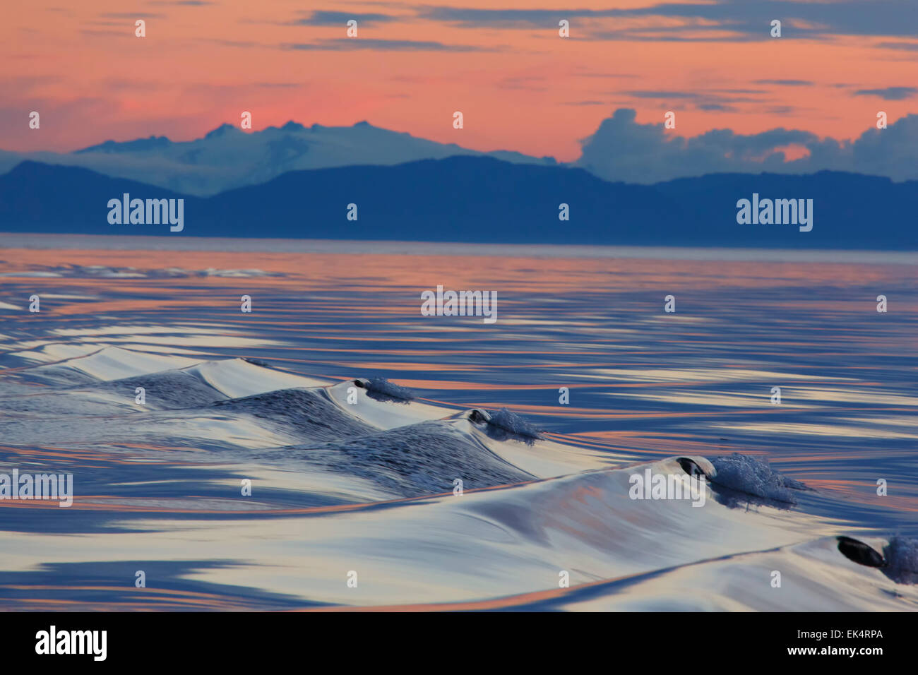Sunset, Cabo Fanshaw, Tongass National Forest, Alaska. Foto de stock