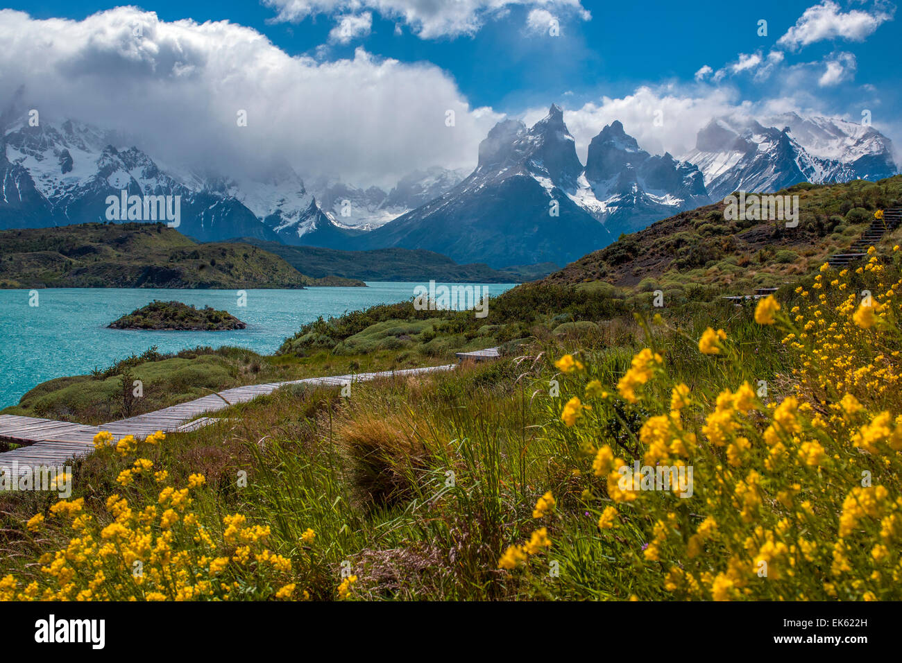 La Cordillera del Paine en el Parque Nacional Torres del Paine en la Patagonia, en el sur de Chile. Foto de stock