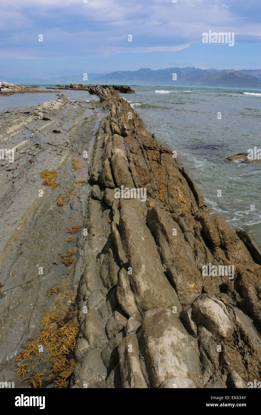 Las capas de roca caliza y pozas de marea de la península de Kaikoura, Isla del Sur, Nueva Zelanda Foto de stock