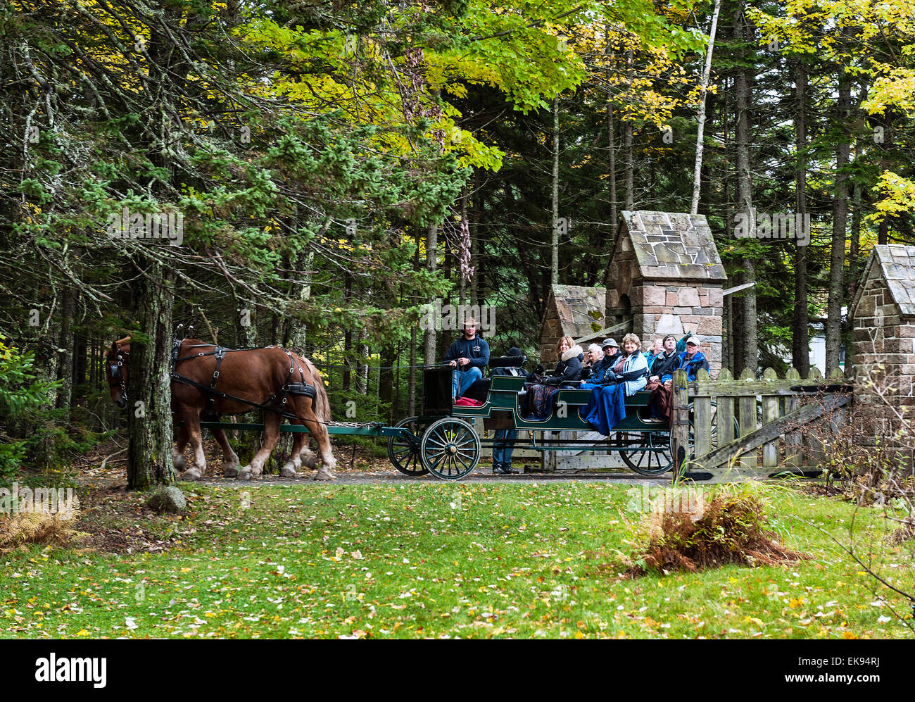 Paseos en carruaje tirado por caballos en el Parque Nacional de Acadia. Foto de stock