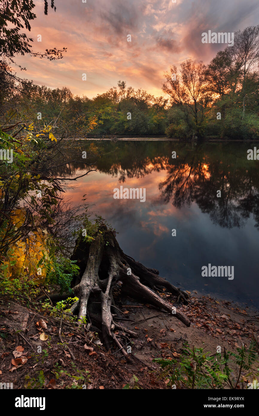 Hermoso atardecer de otoño en el río en el bosque (Ucrania) Foto de stock