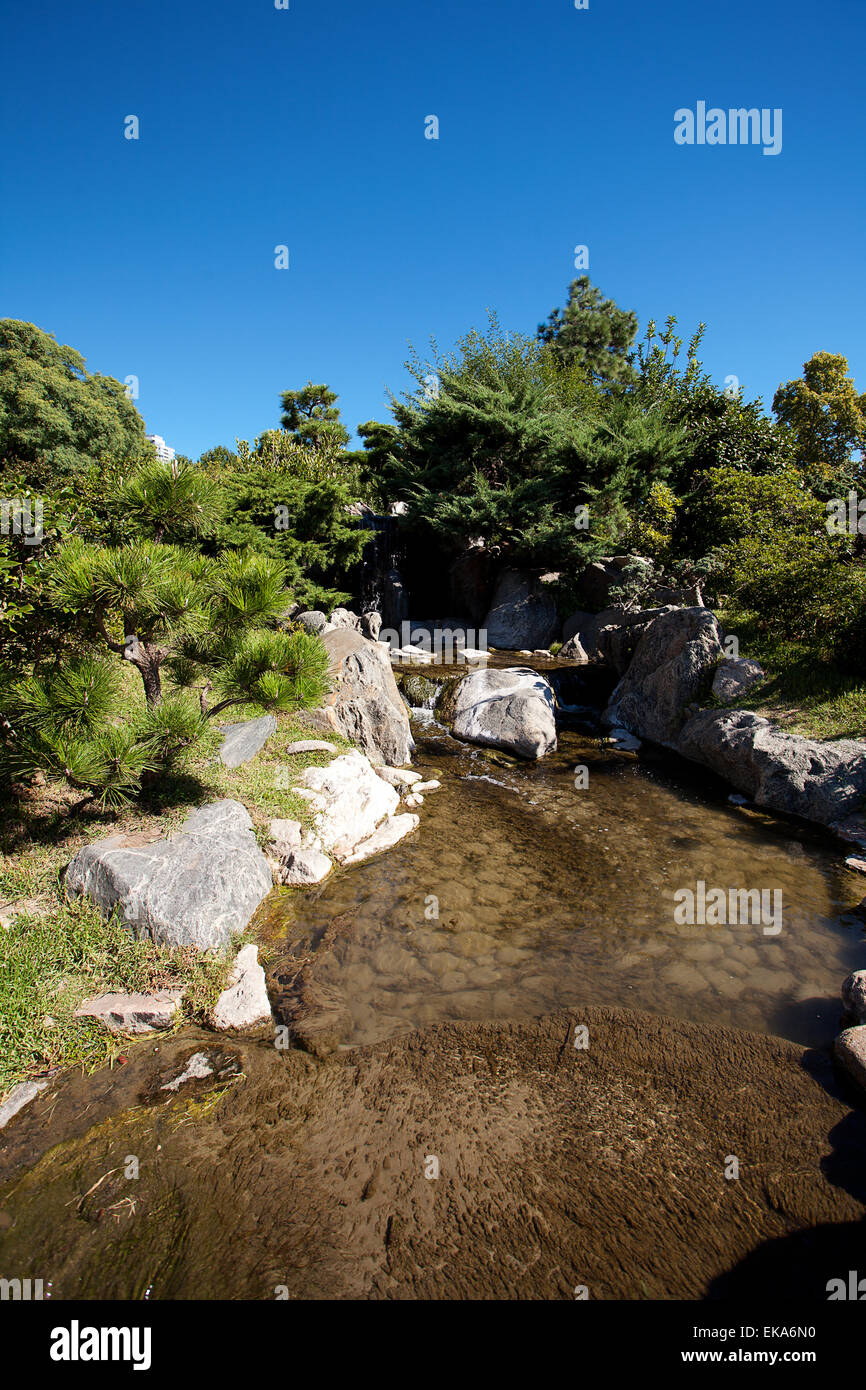 Árboles coníferos, rocas y una cascada de agua sobre un fondo de color azul Foto de stock