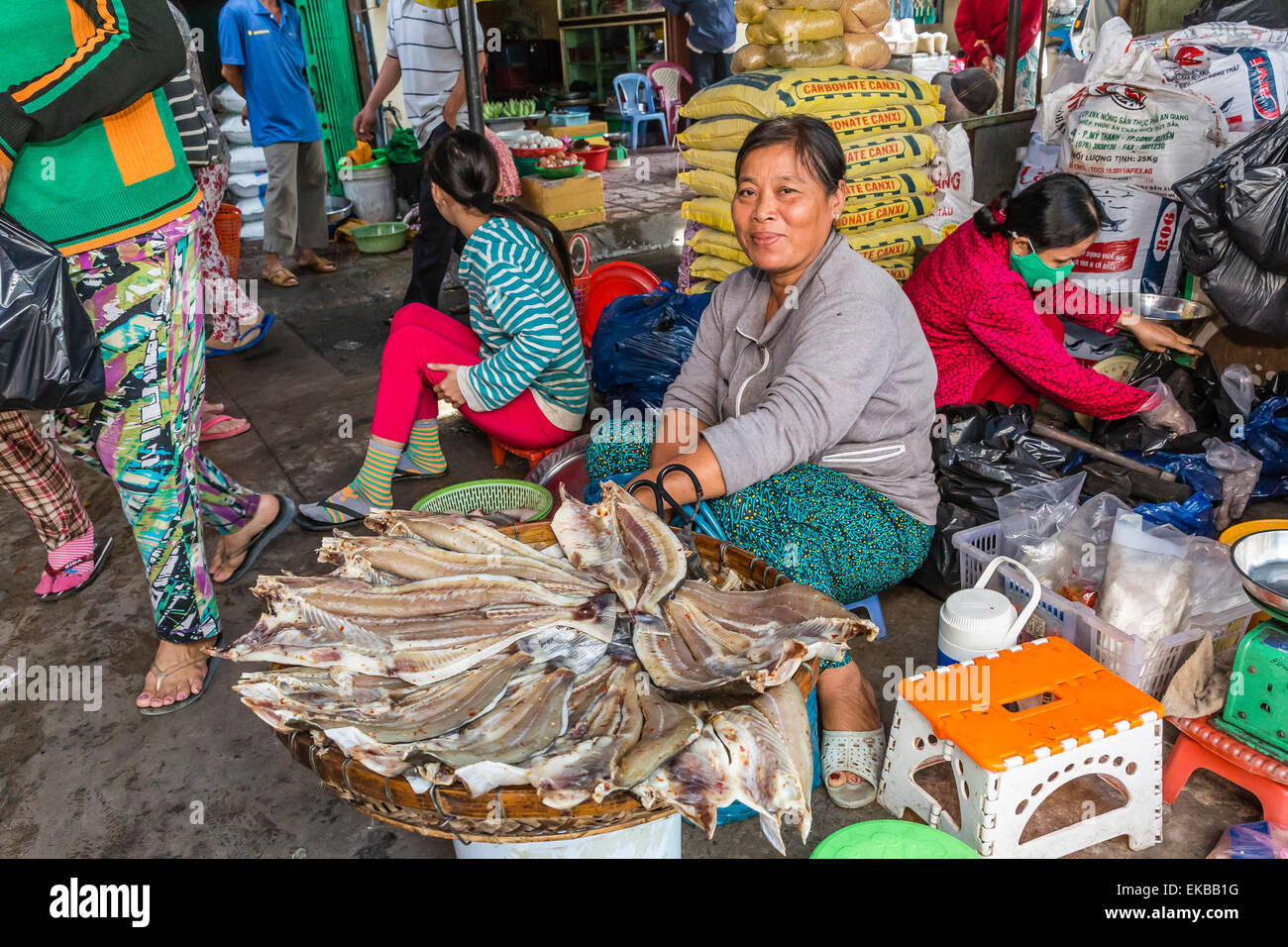 Mujer vendiendo pescado seco en el mercado local de Chau Doc, el Delta del Río Mekong, Vietnam, Indochina, en el sudeste de Asia, Asia Foto de stock