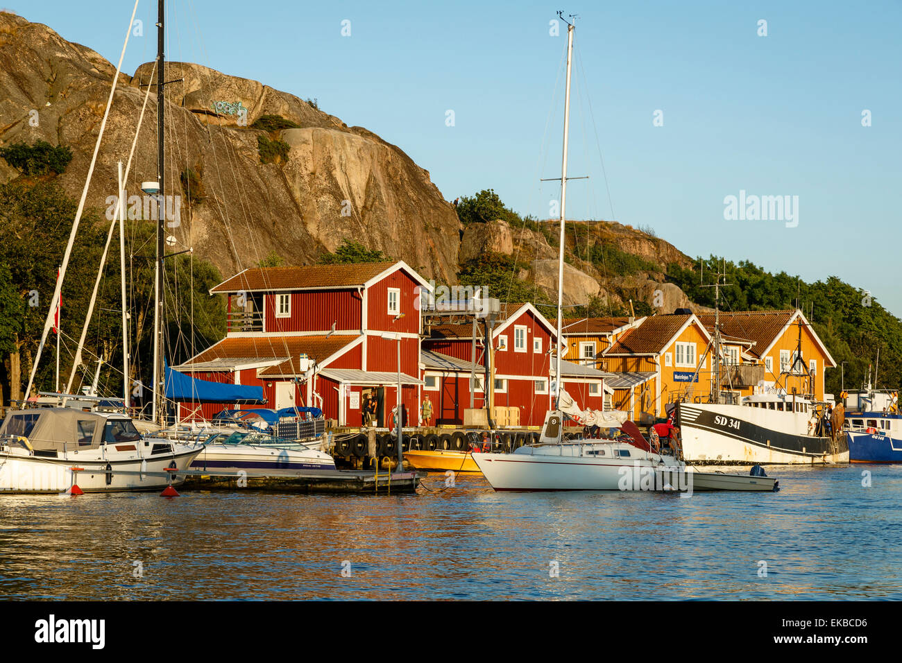 Vista sobre el puerto, Bohuslan Grebbestad, región, costa oeste, Suecia, Escandinavia, Europa Foto de stock