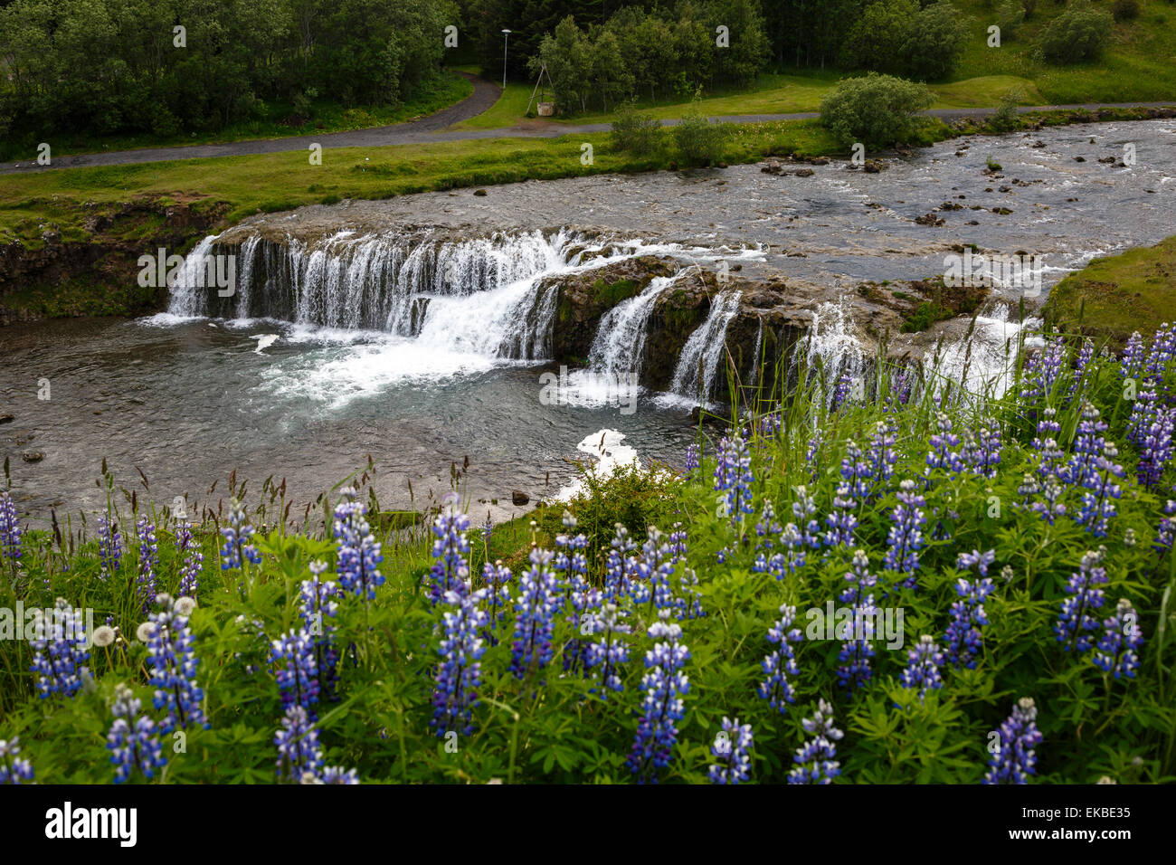 Río y cascada en Hveragerdi, península de Reykjanes, Islandia, las regiones polares Foto de stock